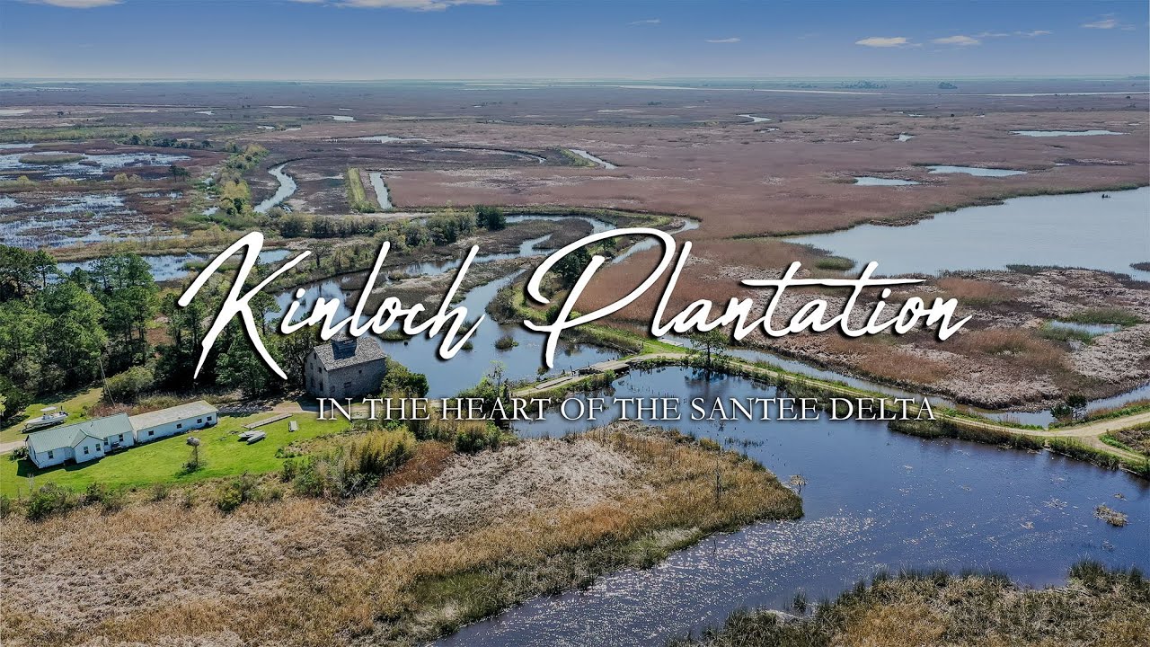 Where a Mighty River Meets the Sea: Kinloch Plantation in the Heart of the Santee Delta, SC