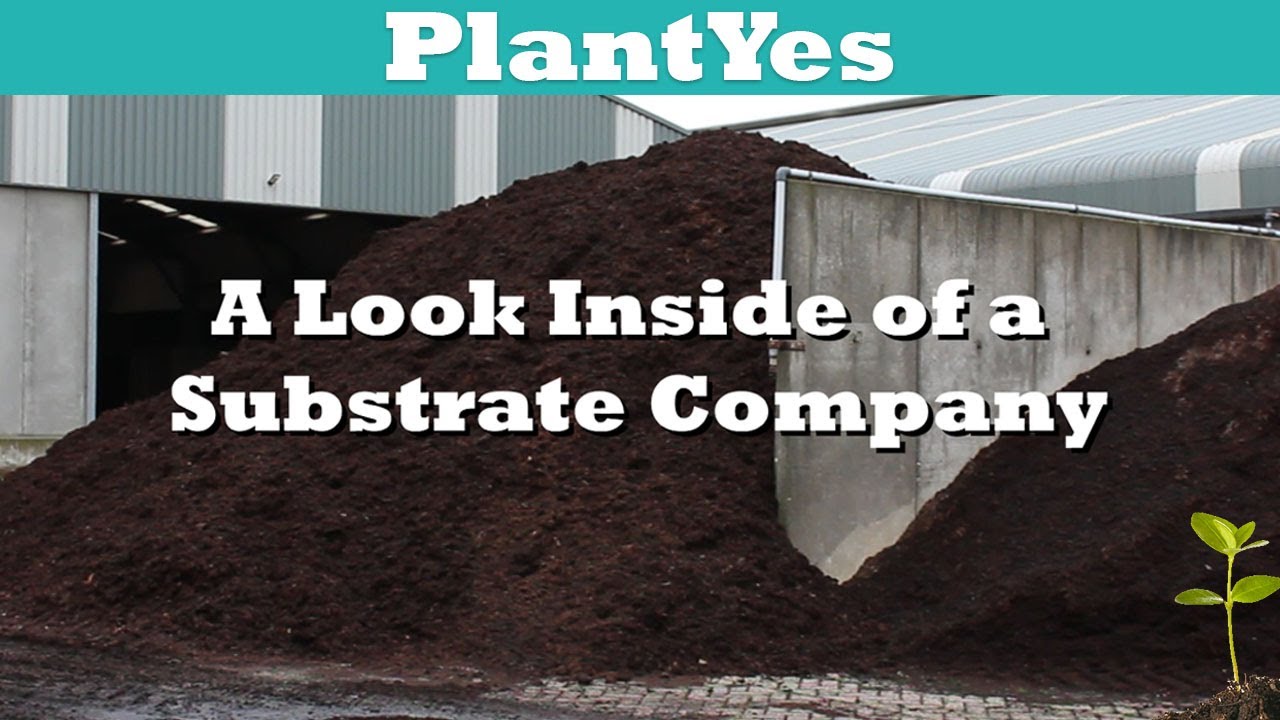Substrate Company - How is potting soil mixed industrially? 👷🏼🚜