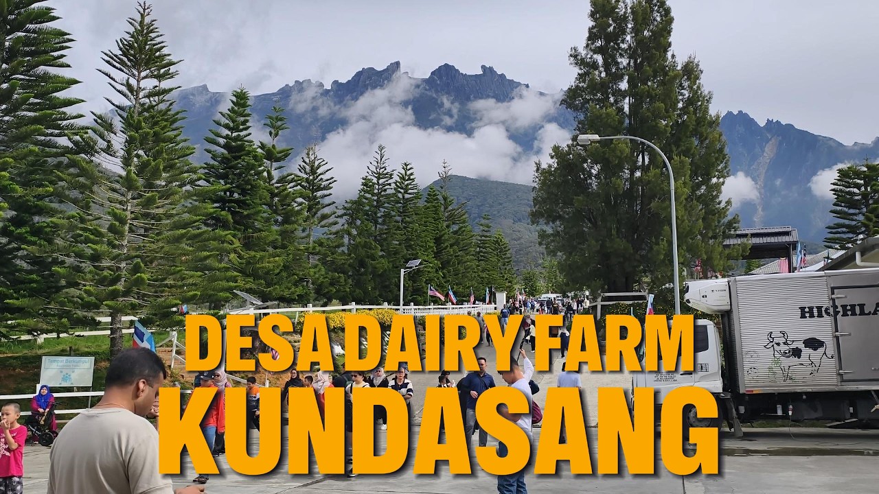 SABAH | 🇲🇾 Jalan-jalan Kundasang | Desa Dairy Farm