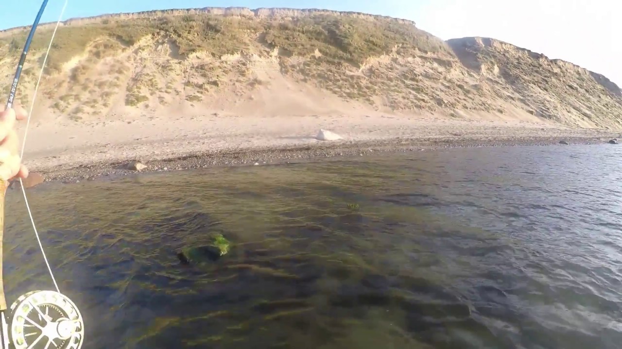 Overspringer 3kg