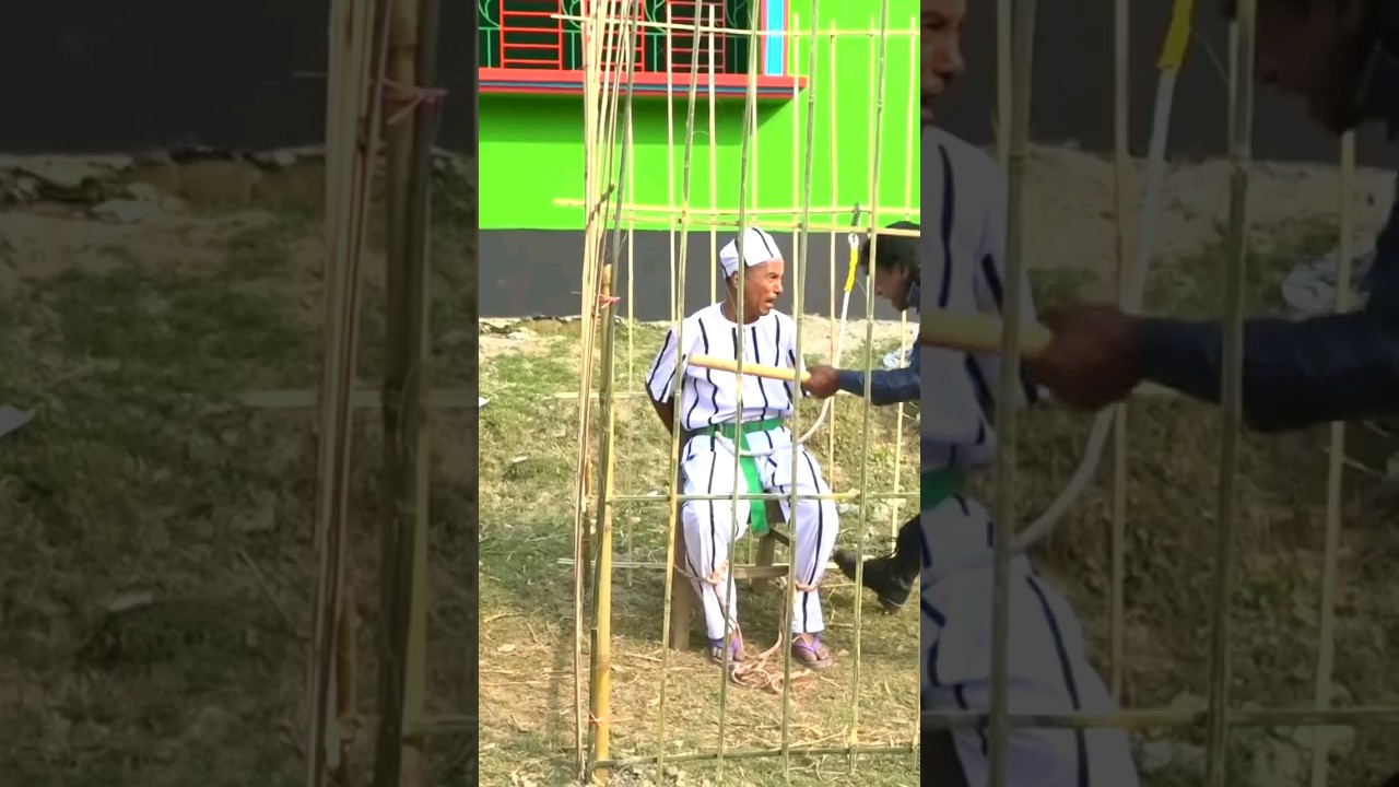 Dangal tarsira badaima Sona Miya bade Miya Bangladeshi tangle tarsira badaima #shorts #shortvideo