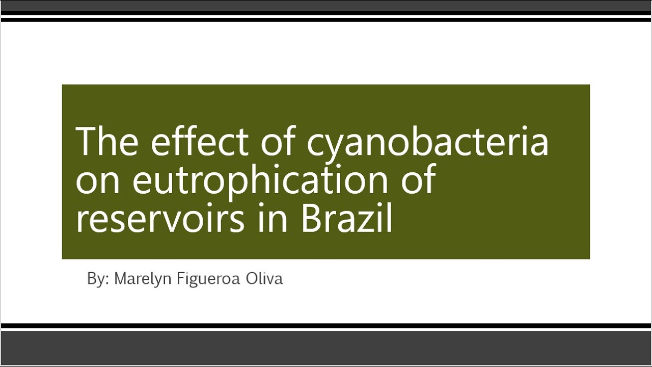 The effect of cyanobacteria  on eutrophication of  reservoirs in Brazil by Marelyn Figueroa Oliva