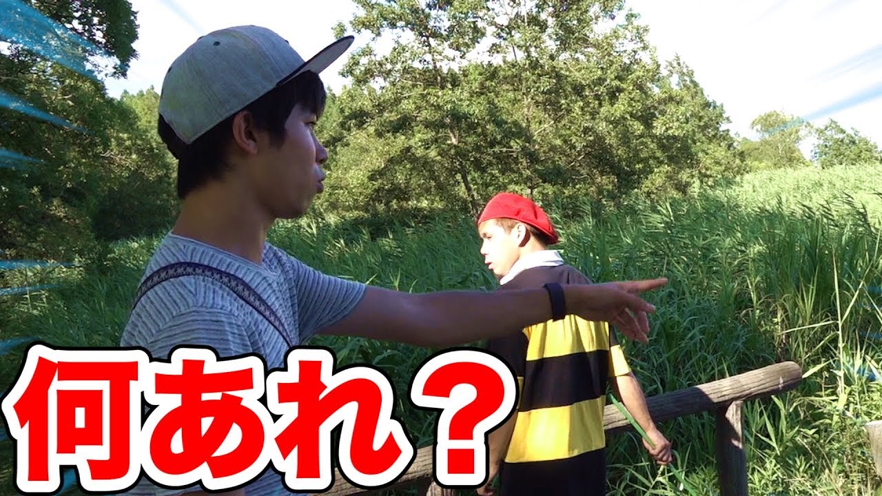 でっかい公園で生き物さがし！水中でよく分からない虫を発見！？