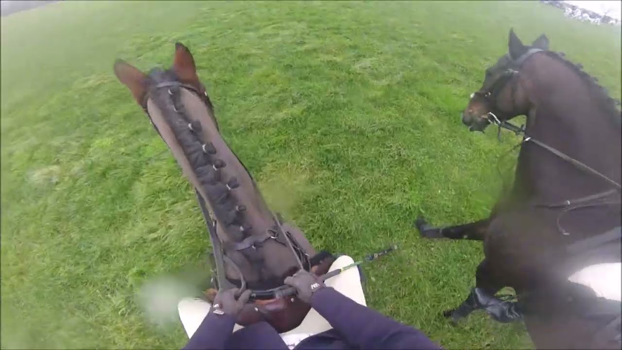Readyfield Bloodhounds 2025 Odstone Barn Farm - Zanzi