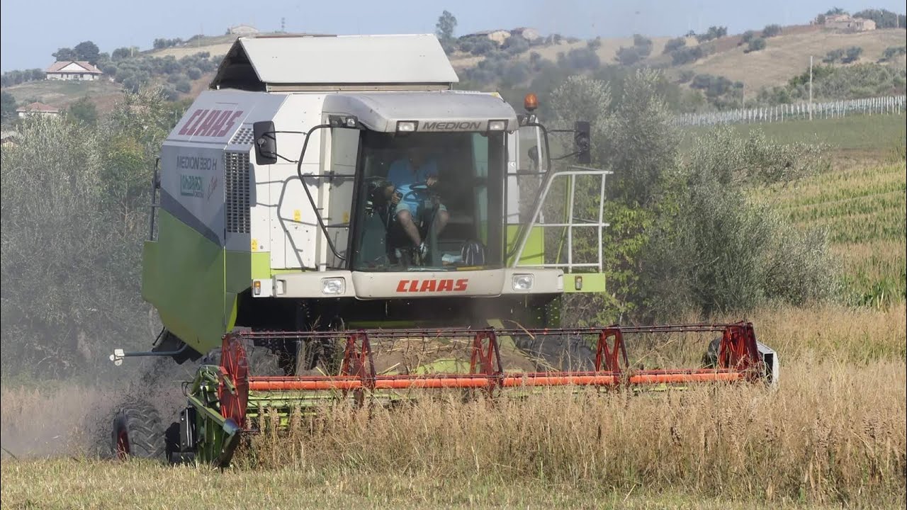 TREBBIATURA SORGO | CLAAS MEDION 330H + Testata Claas C510 | F.lli Lefoer