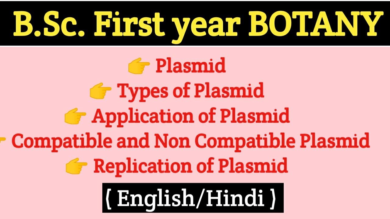 Plasmid // Types of Plasmid // F factor Plasmid // Col Plasmid // R plasmid // BSC Botany