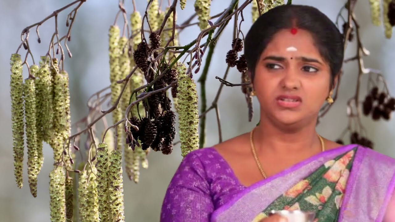 Chinna Marumagal Serial Upcoming Episode Review March 11th | 2026