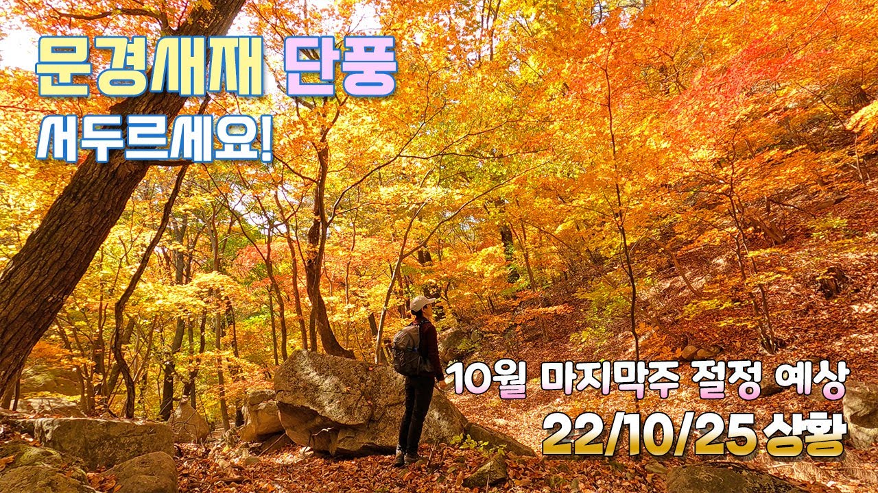 문경새재 단풍 지금 바로 서두르세요 | 10월 마지막주 절정 예상 | 한국의 아름다운 길 선정 | 걷기 쉽고 단풍도 좋고 | 22.10.25 촬영