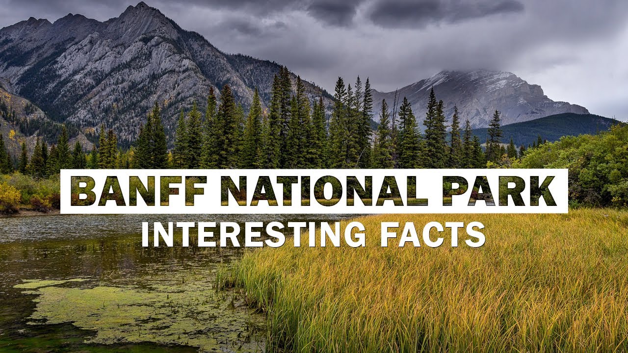 Top 15 Amazing Facts About Banff National Park