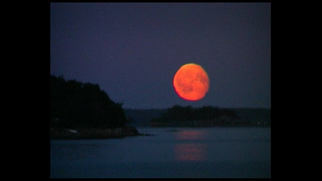 Höstens fåglar (Music: Astor Piazzolla, Cafe 1930)