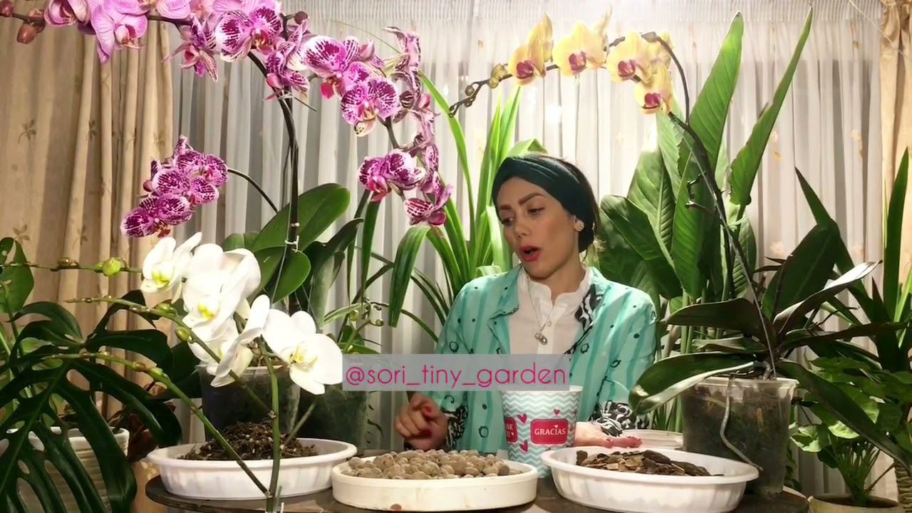 خاک ارکیده