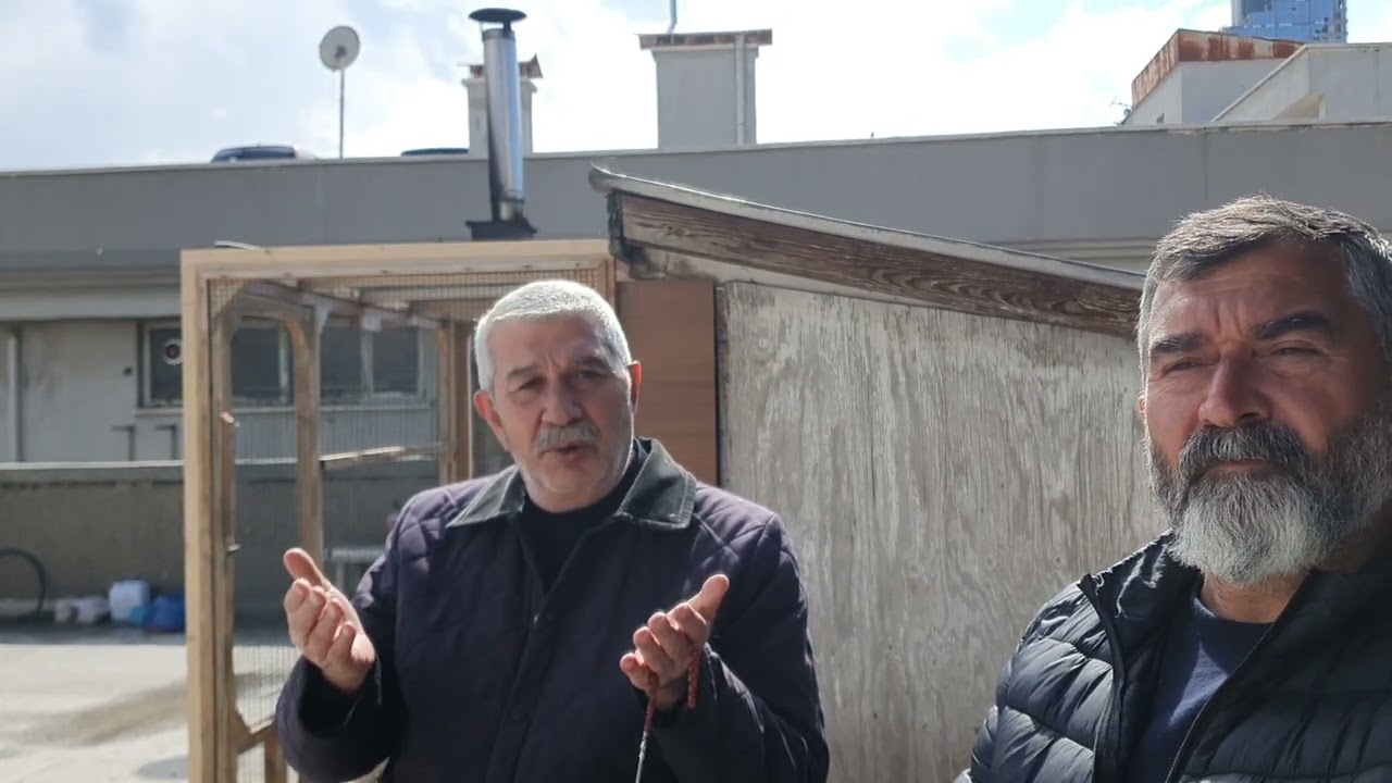 Han in kusları Amerikalılar  rambolar... Ve diğerleri..