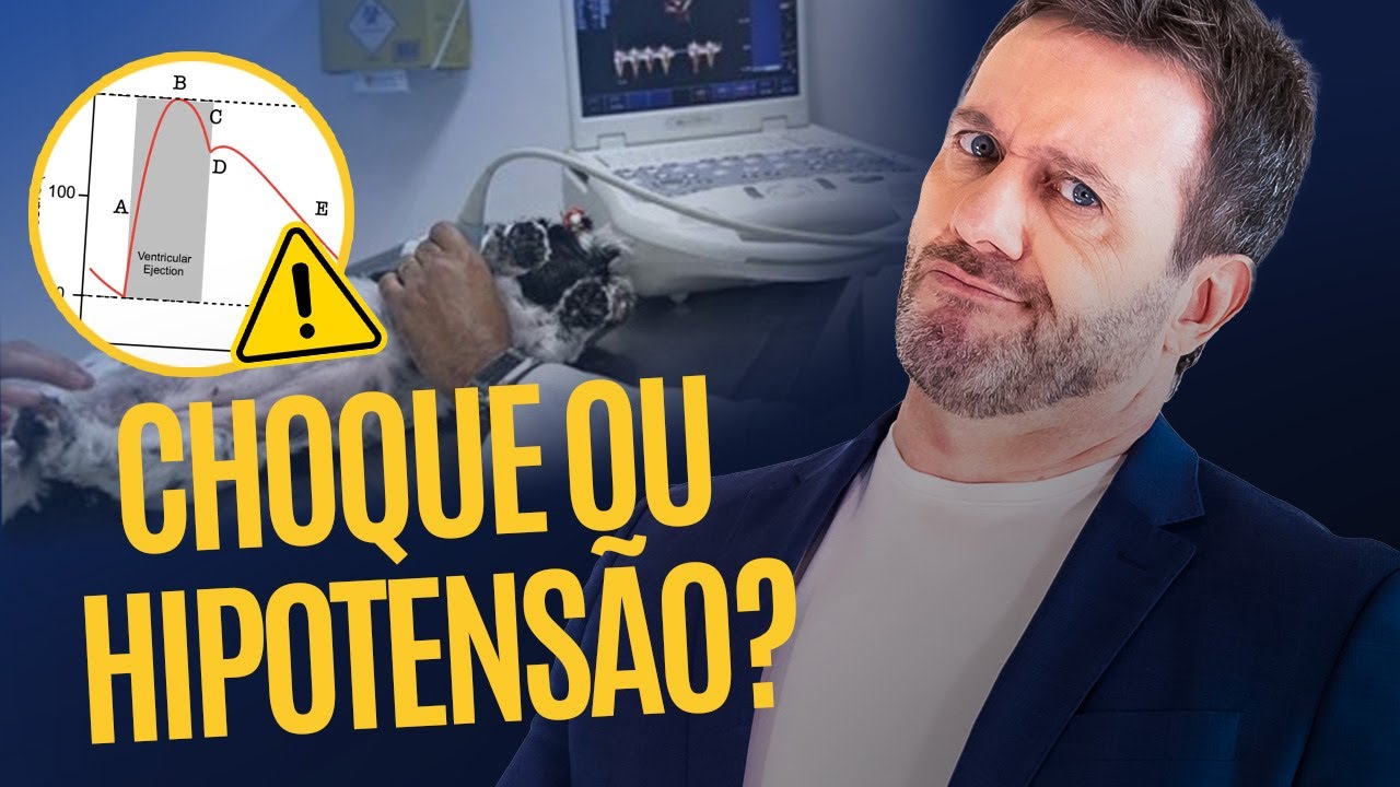 Hipotensão em Pequenos Animais: Como Diagnosticar e Corrigir Sem Errar