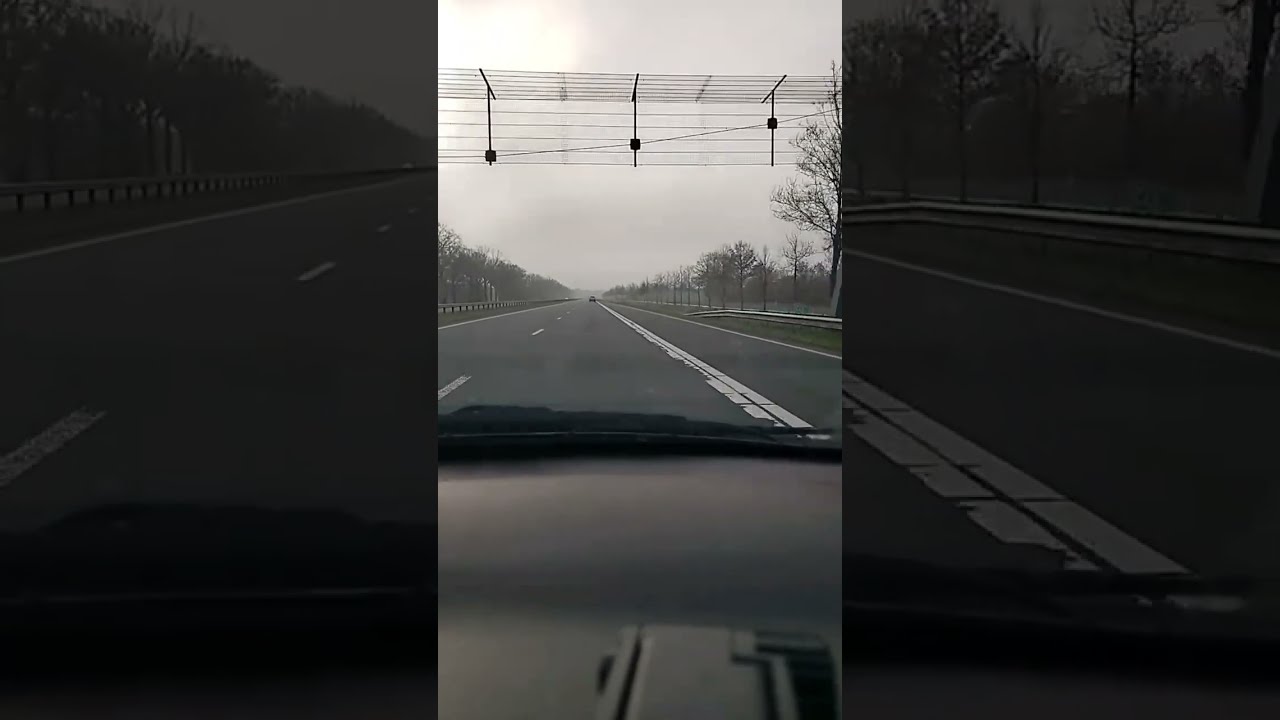 Pieterepp is live