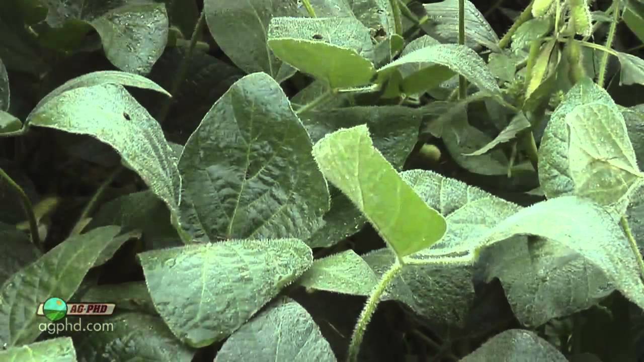 Farm Basics #847 - Rainfast (Air Date 6/29/14)