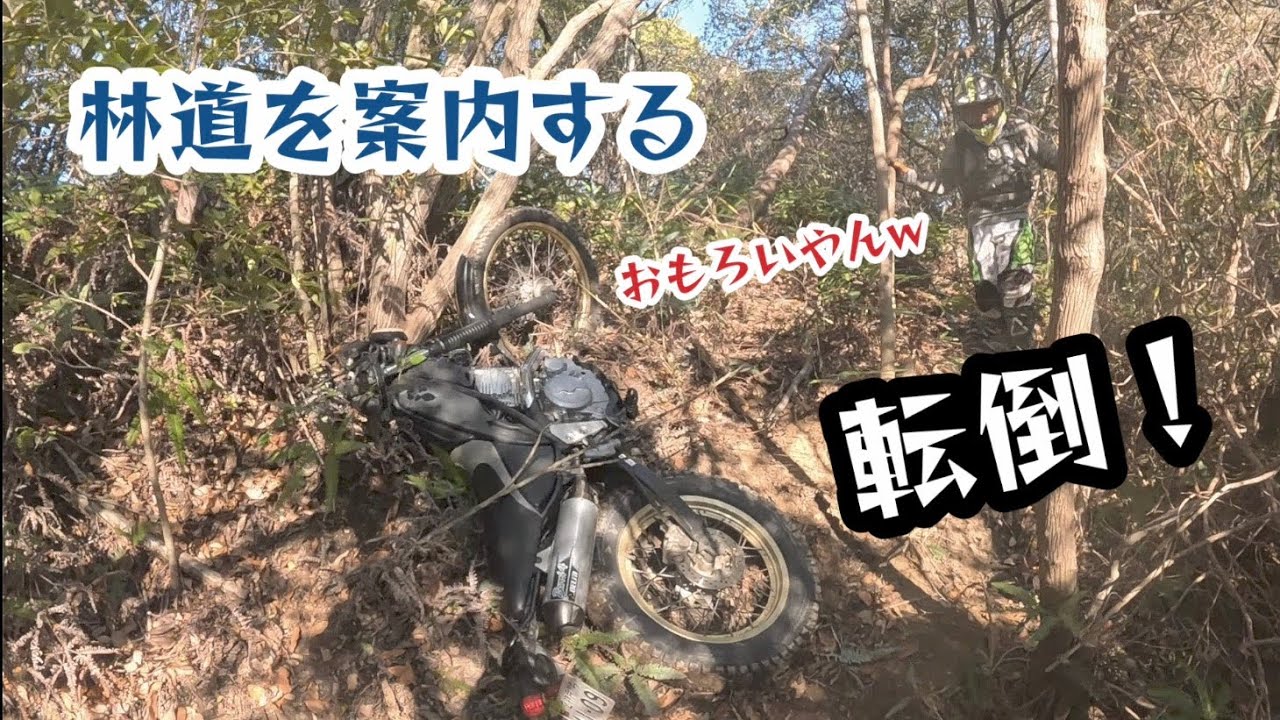 新規開拓した林道を案内してきた