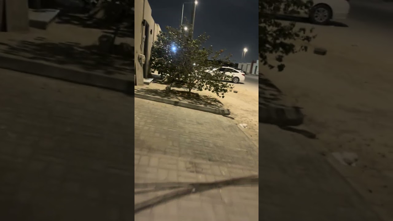 ٥ فبراير، ٢٠٢٦