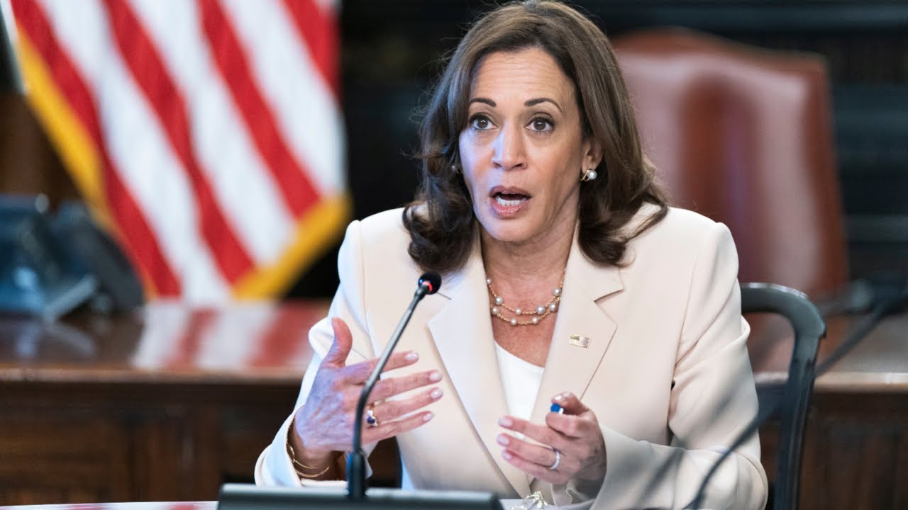 ‘What is she talking about?’: Douglas Murray questions Kamala Harris