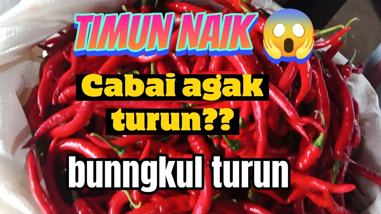 Update harga terbaru sayur dan buah pasar grosir ngronggo kota kediri jawa Timur!