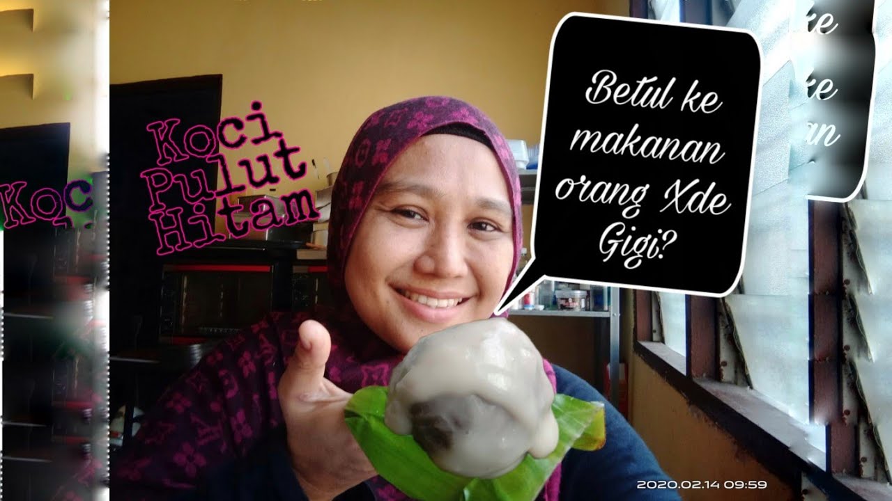 Koci Pulut Hitam