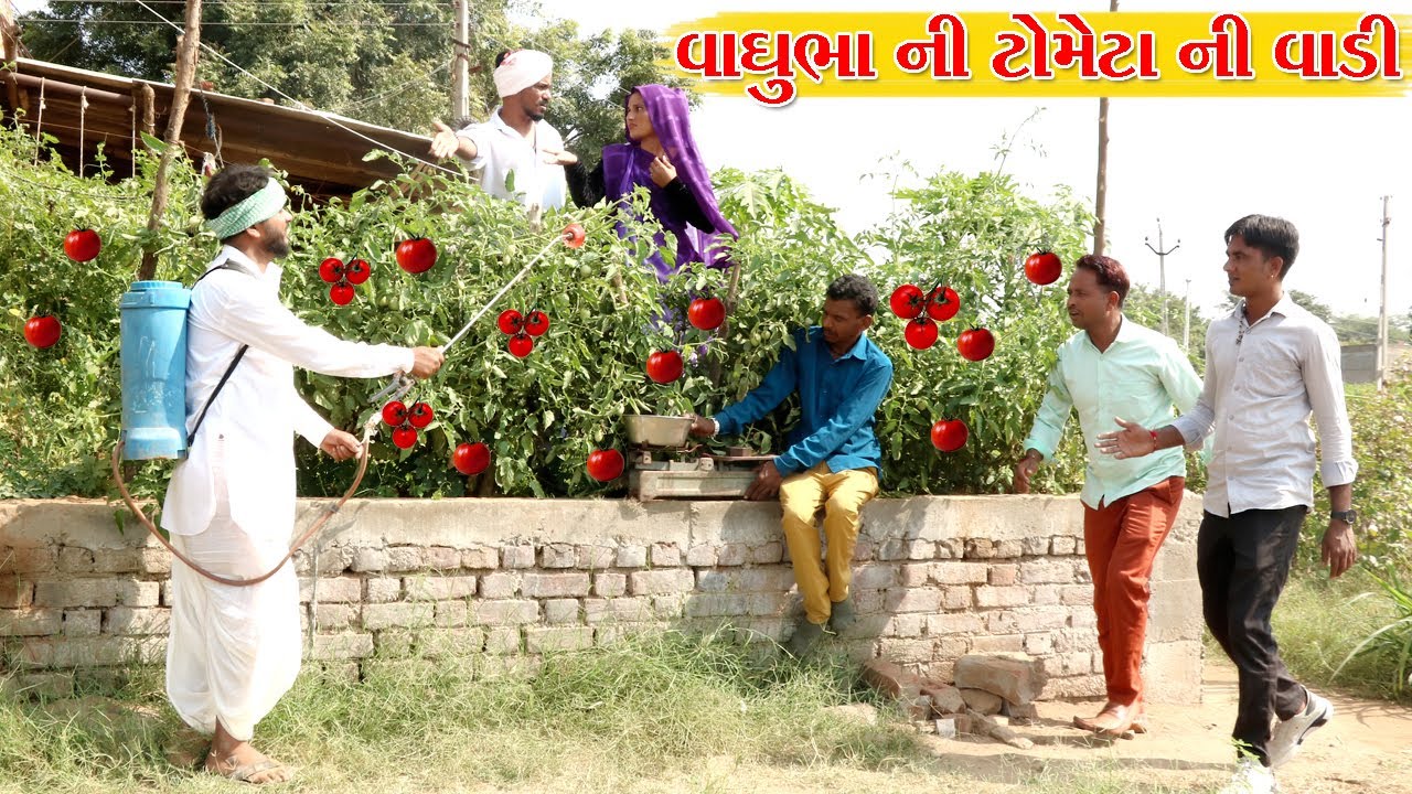 વાઘુભા ની ટોમેટા ની વાડી l Vaghubha Na Video l Kadvabha Comedy