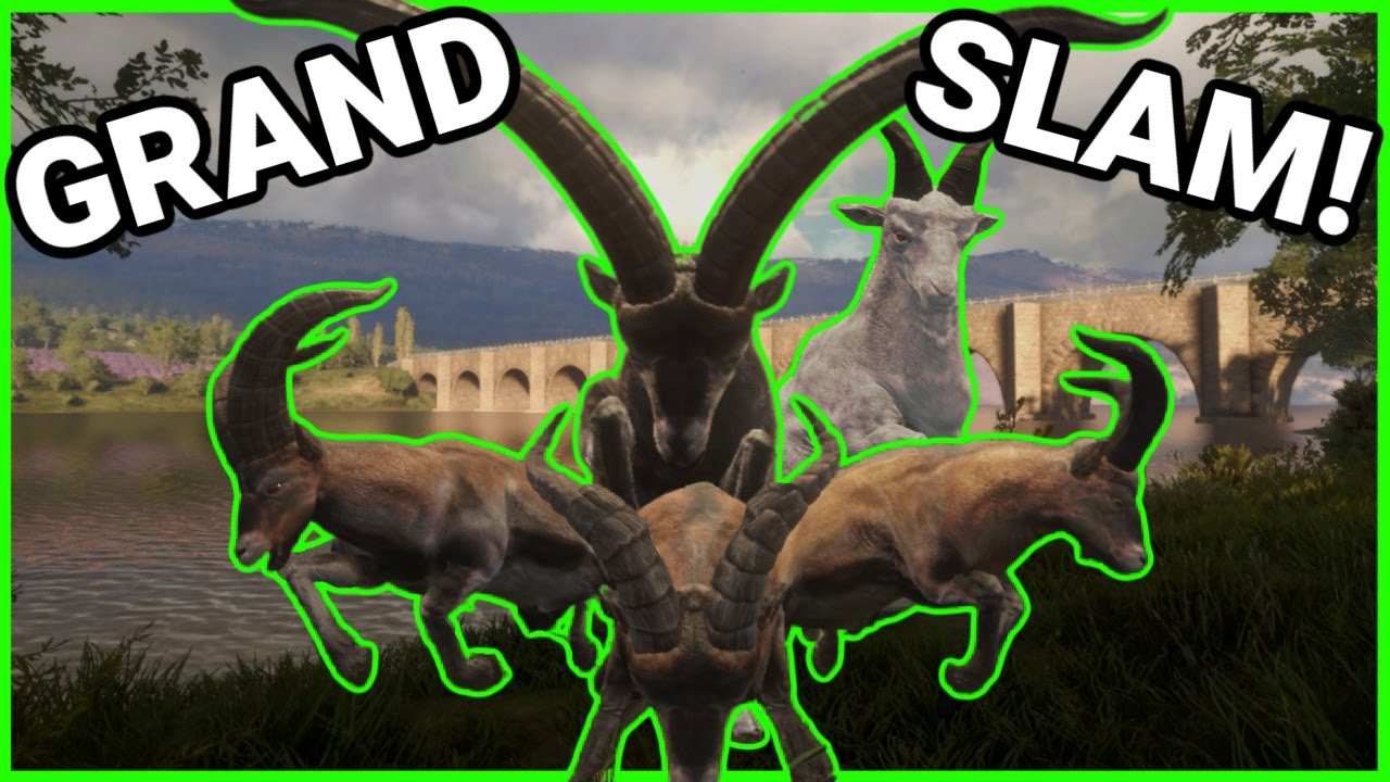 TheHunter: Call of the Wild | Grand Slam in SINGLEPLAYER!