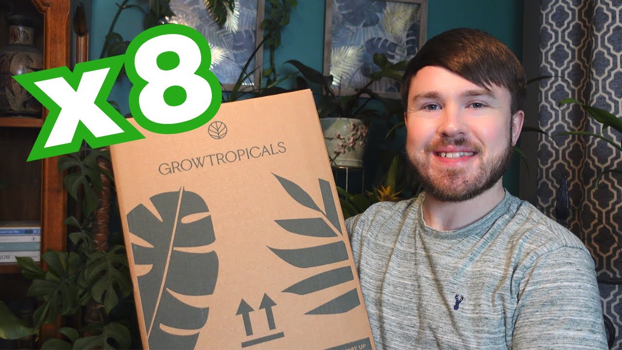 Mystery Baby Plant Unboxing - Good Value for Money?