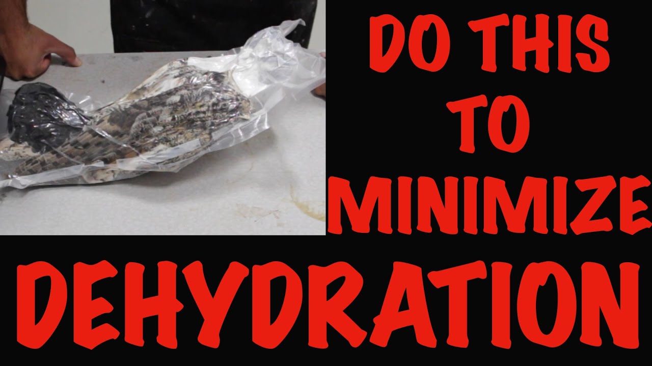 How to properly bag your Bird for the freezer. Art of Taxidermy.