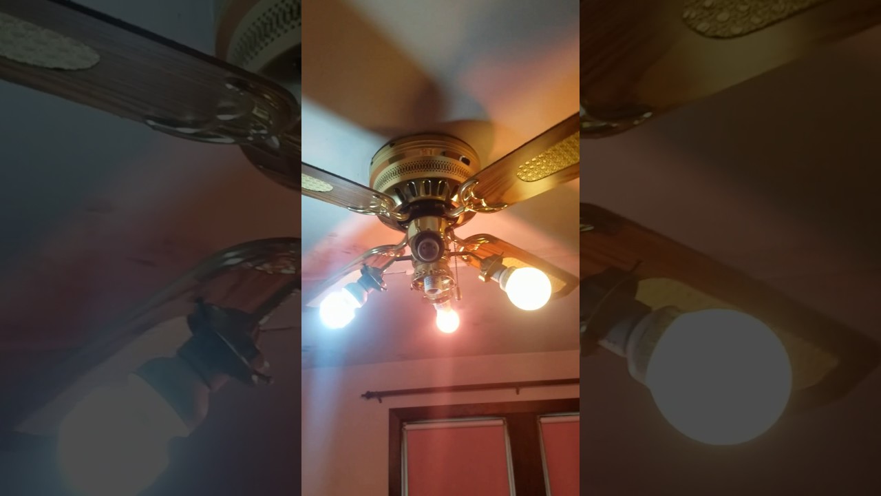 Ceiling fans up at new house