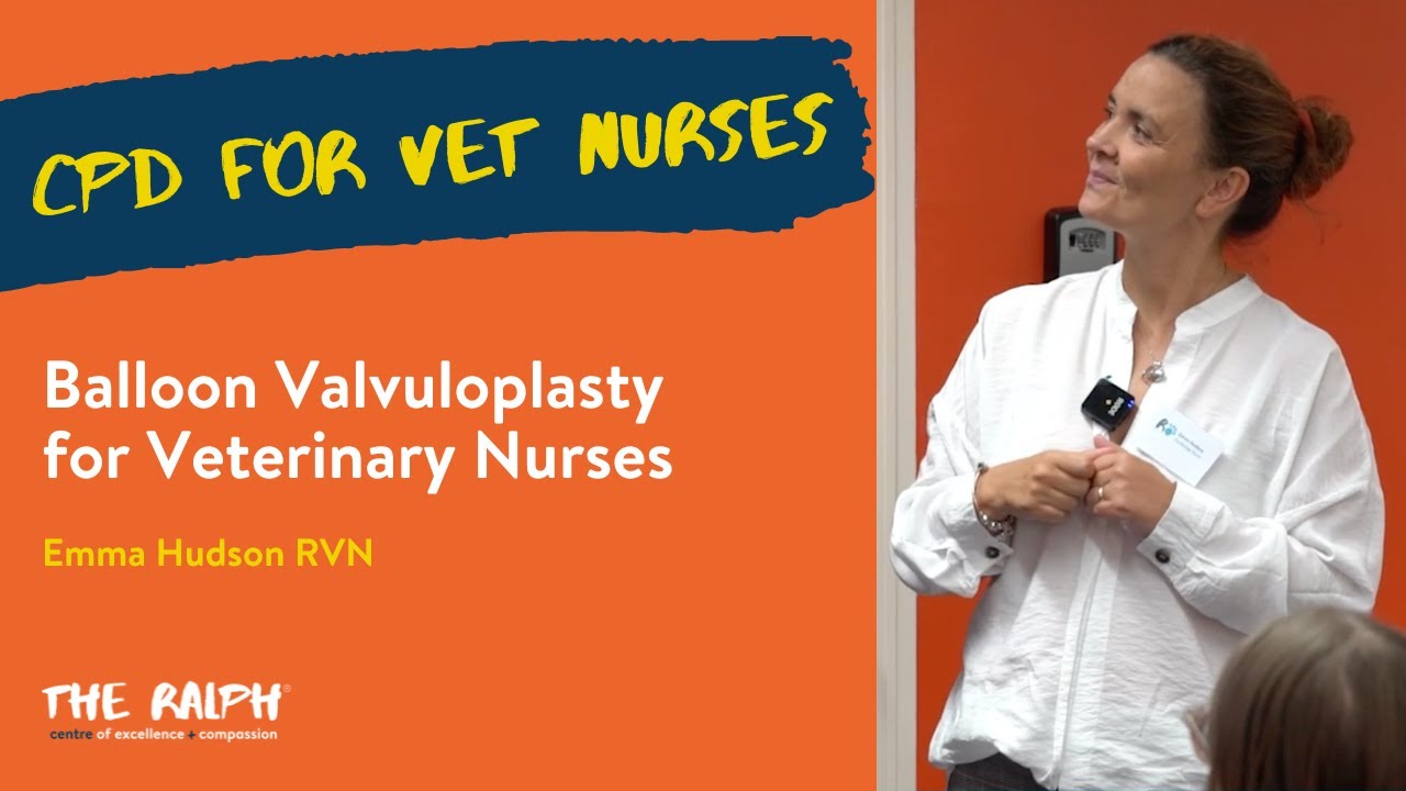 Balloon Valvuloplasty for Veterinary Nurses - Emma Hudson RVN