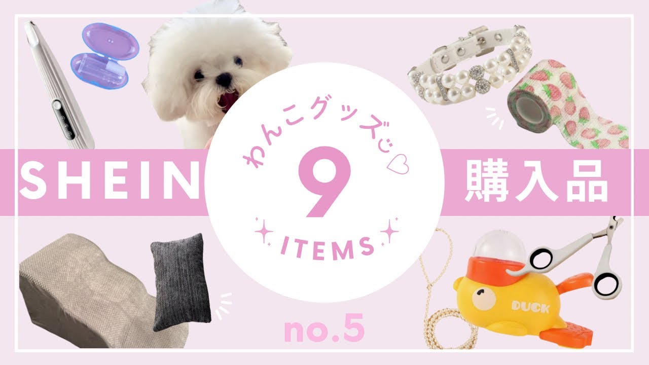 【SHEIN購入品】犬グッズ紹介🐶まだ使ってないけど優勝の予感✨