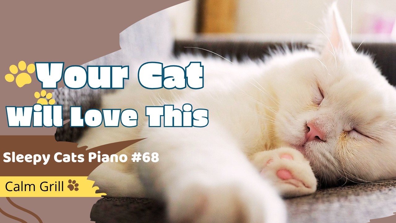 [Sleepy Cats Piano #68] Piano Music for Cozy Nights with Cats