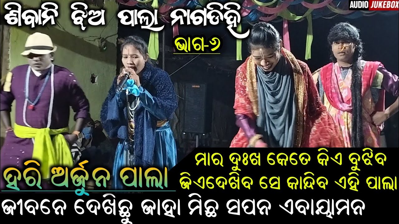 Nagdihi tukel pala || Hari Arjun Pala || ms sambalpuria || nagdihi pala || part 6 #nagdihitukelpala 