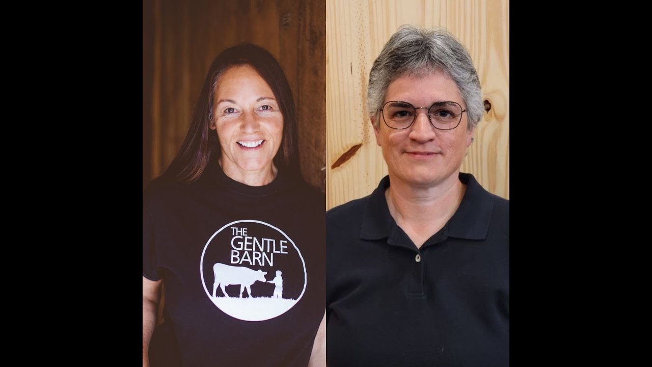 How Animal Sanctuaries Benefit from Animal Communication