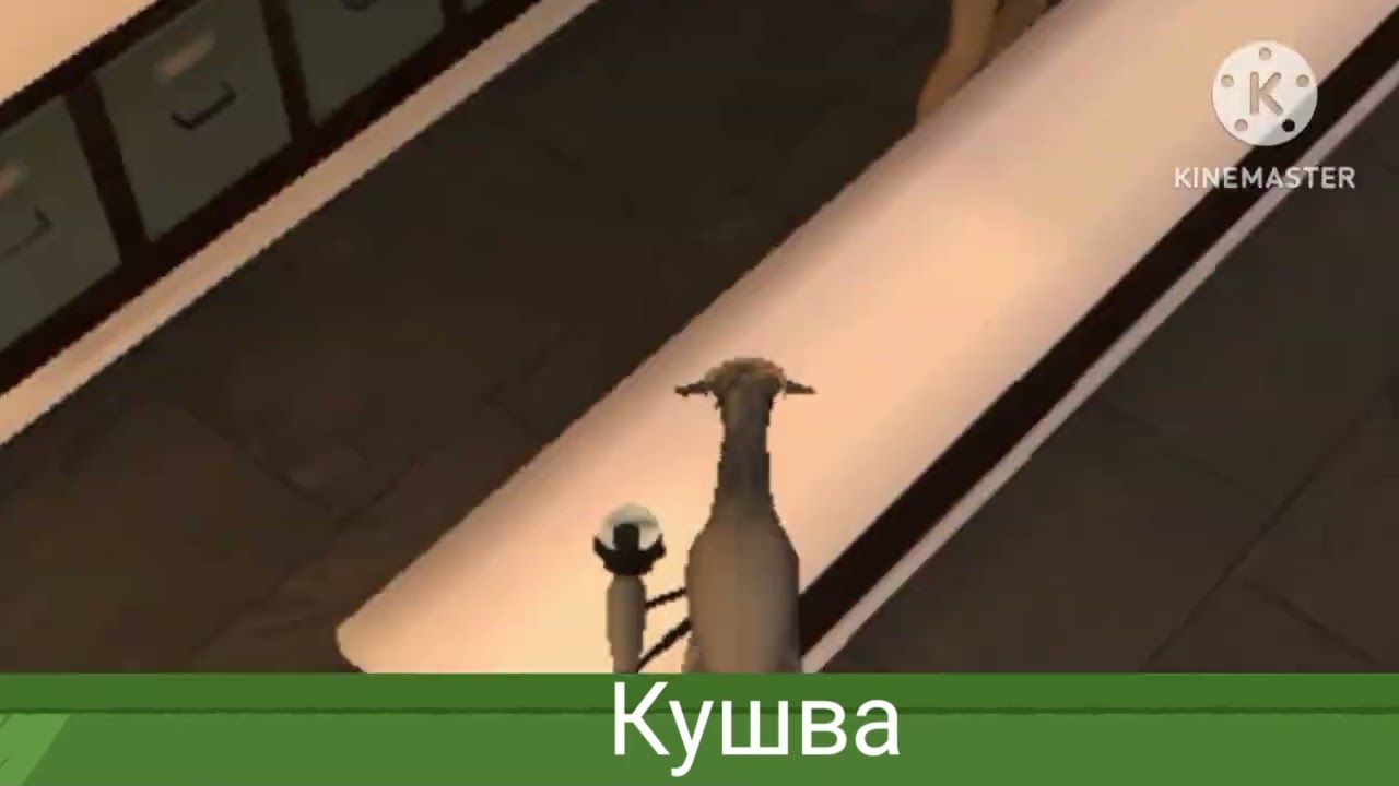 28 февраля 2026 г.