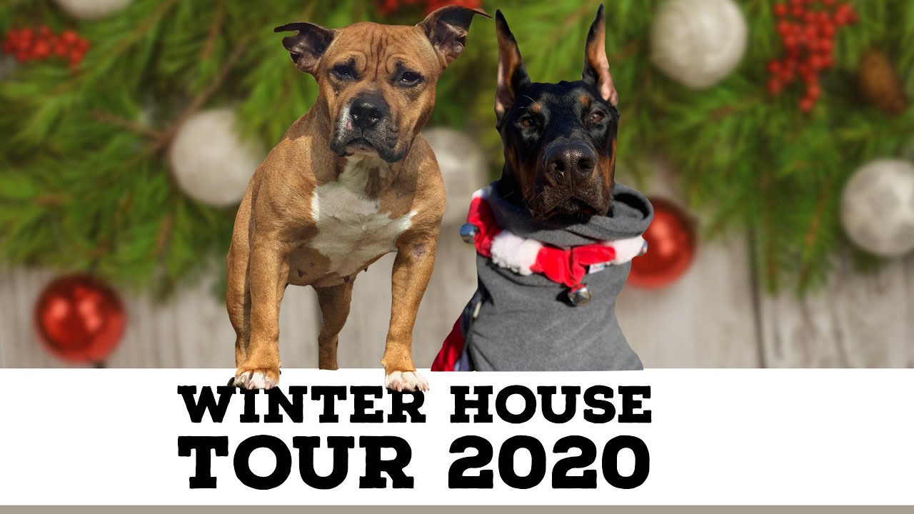 WINTER HOUSE TOUR 2020 Dog Vlog