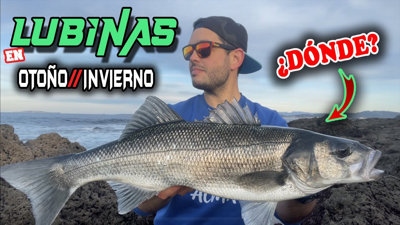 📍 Los 3 MEJORES LUGARES para PESCAR LUBINAS en OTO&Ntilde;O // INVIERNO {spinning desde costa }