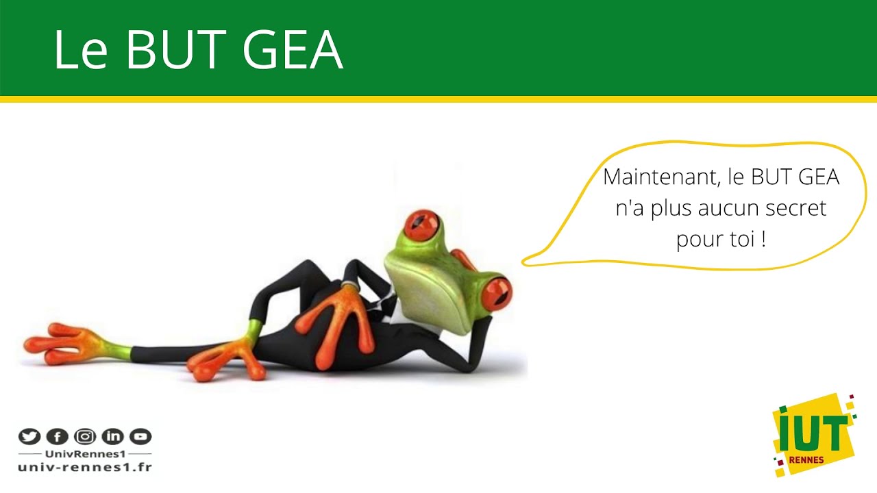 Le B.U.T. GEA, en bref