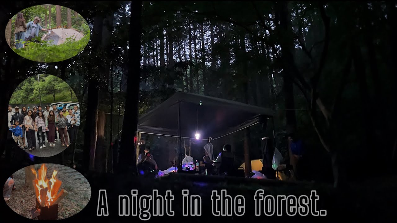 Overnight camping in the forest.what a moment😍 | Nepali in Japan |