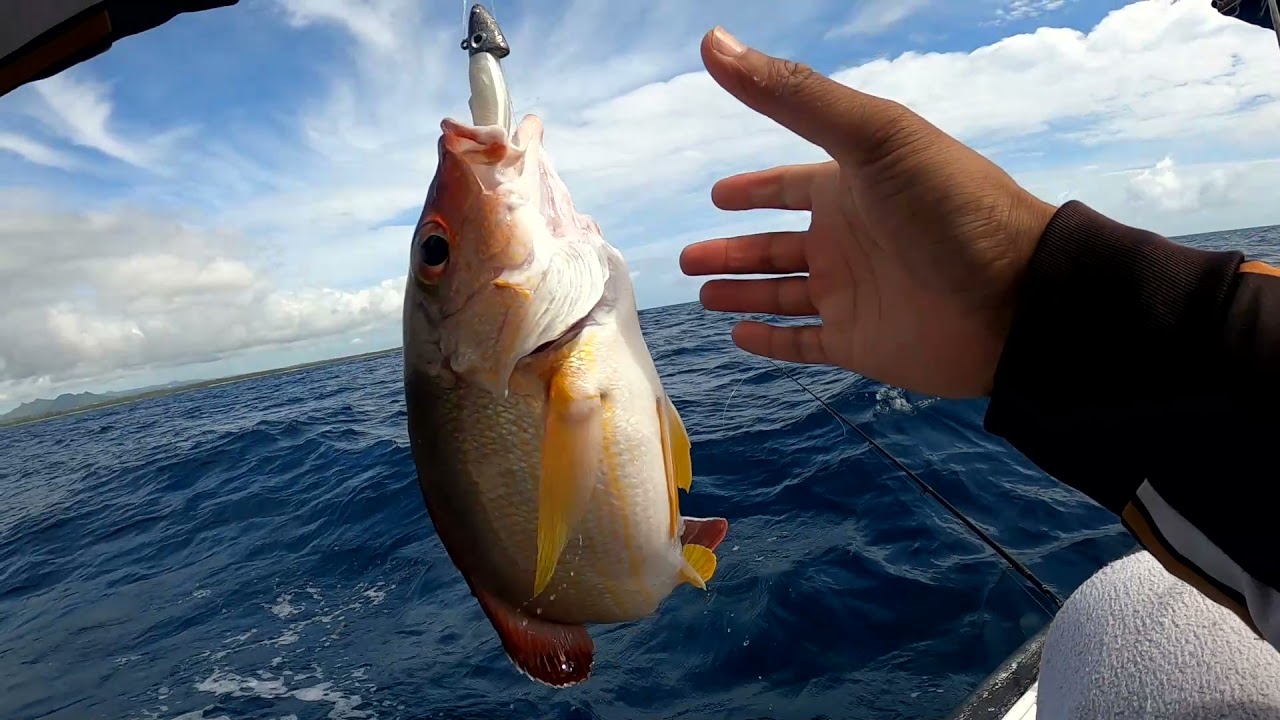 Catching Coral Reef Fish on Softbait | Mauritius EP 13