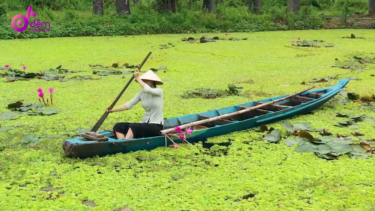 QUA CƠN GIÔNG | LÊ HOÀNG KHA | TÁC GIẢ TÁC PHẨM 07 | RADIO ĐÊM CẢM XÚC