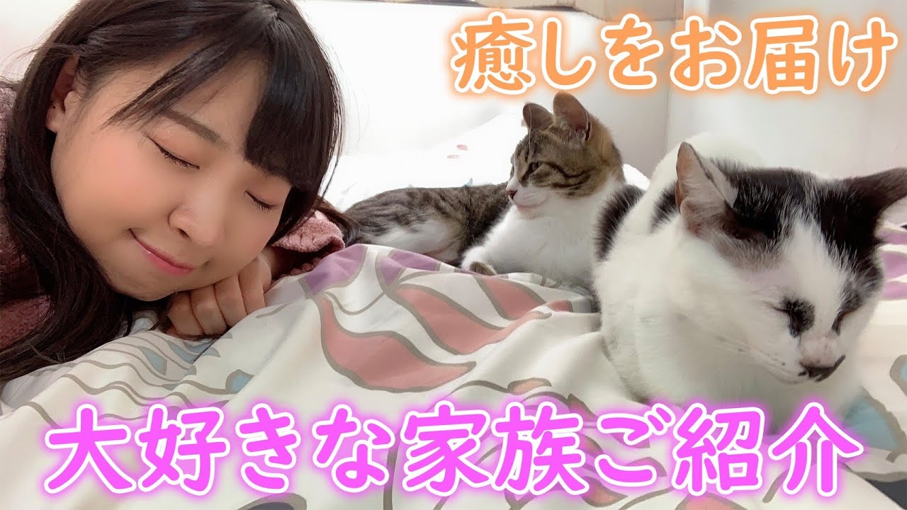 【癒されたい方必見！】有村瞳の家族を紹介します♪