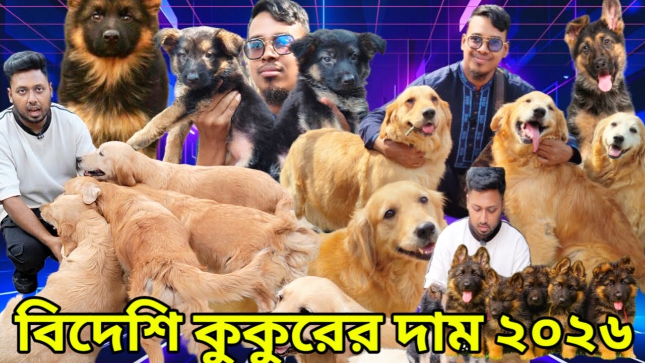 Dog Price in Bangladesh | Shepherd Dog price in Bangladesh | বিশাল কুকুরের খামার | কুকুরের দাম ২০২৬