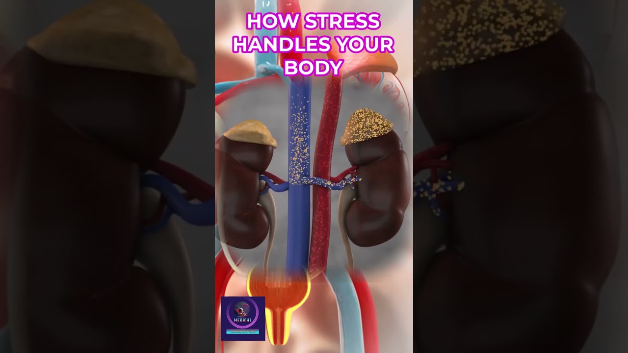 How Your Body Handles Stress: The Role of Adrenaline