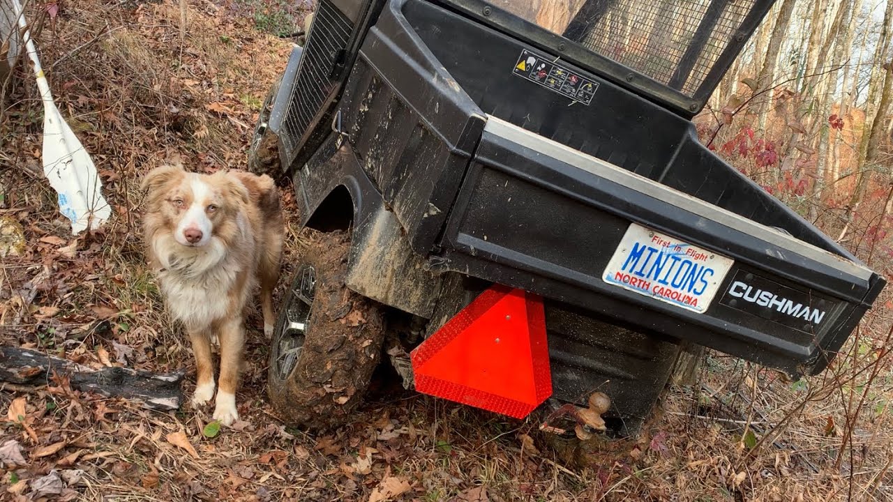 Lifted 72v Cushman/EZGO Electric Buggy,  “Steep” hill climb