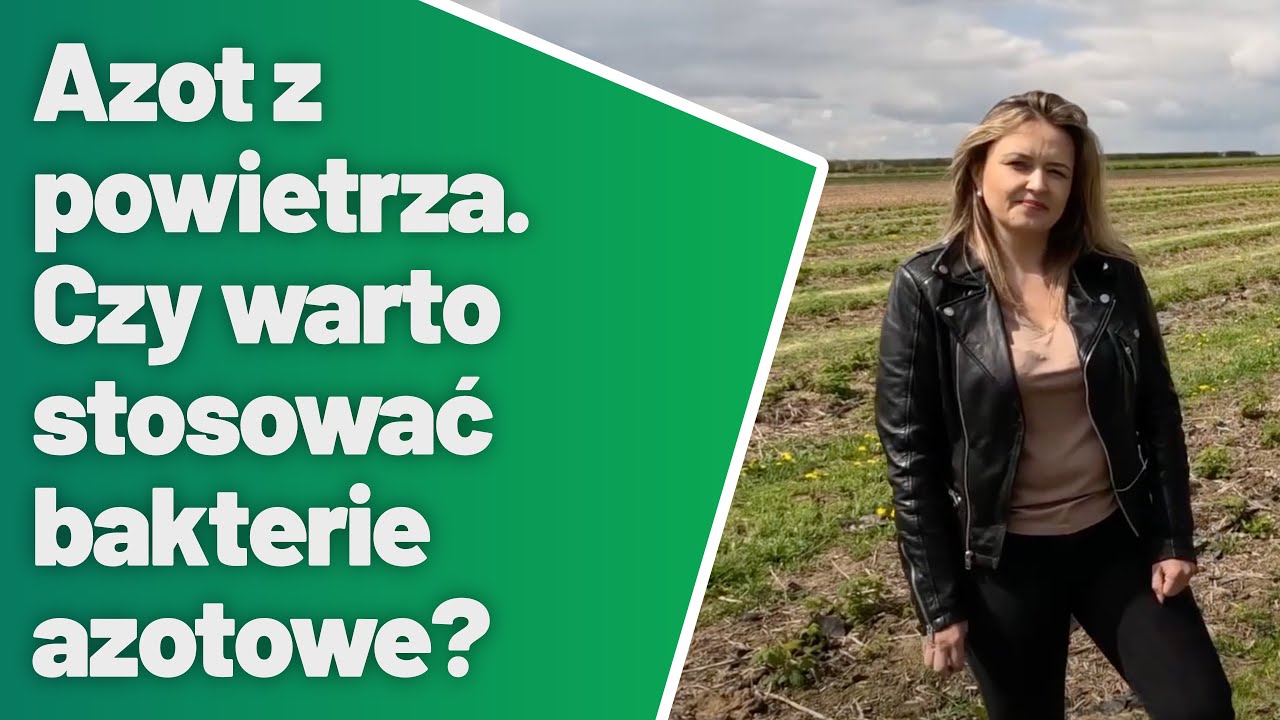 🦠 Azot z powietrza. Czy warto stosować bakterie azotowe?