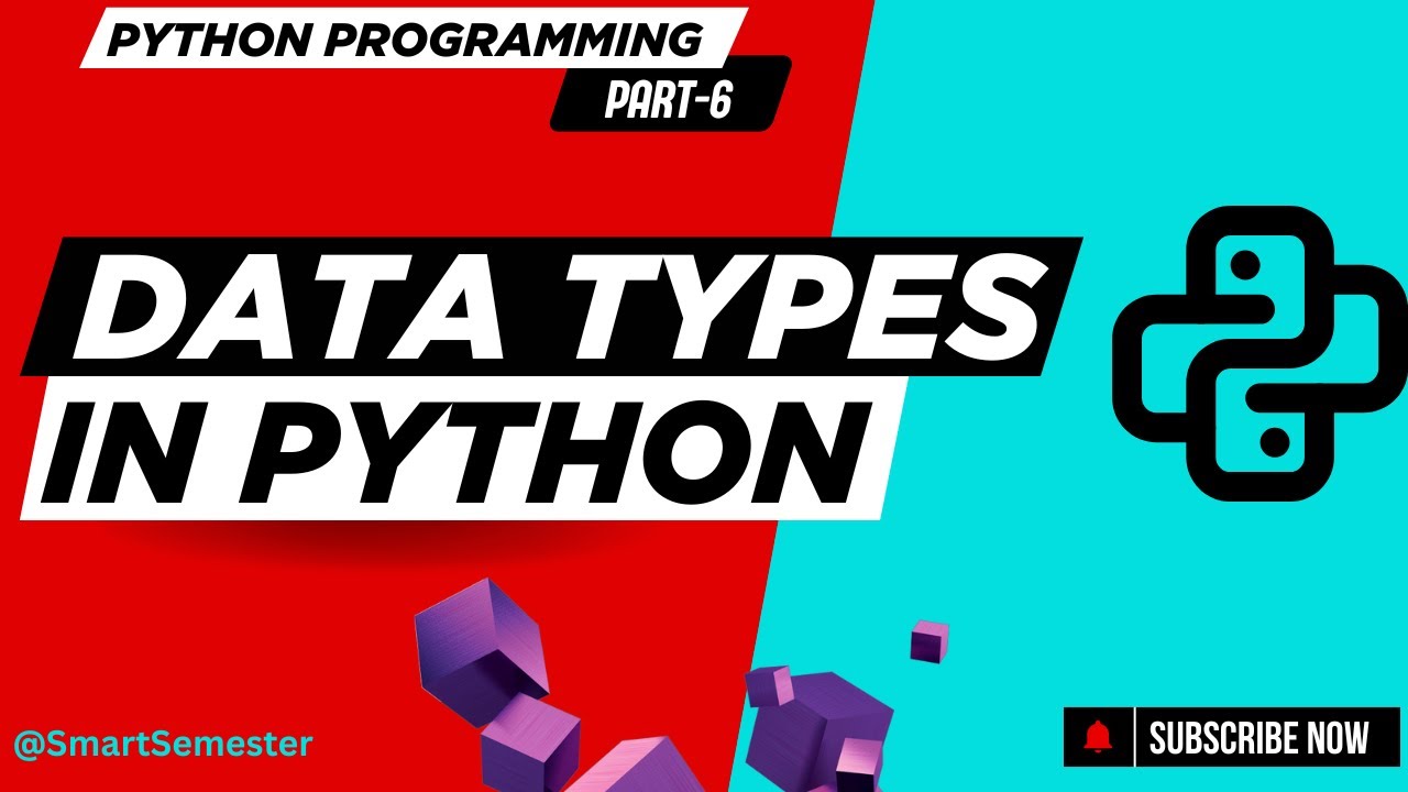 Primitive Data Types | Python Programming | Basics to Advanced Concepts