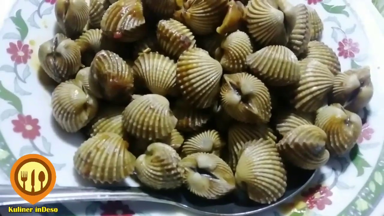 Review Kuliner - Kerang Gurih Manis