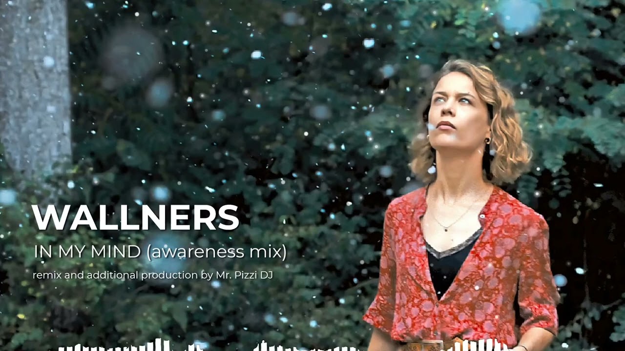 Wallners - In my mind (awareness remix) - from Roter Himmel soundtrack