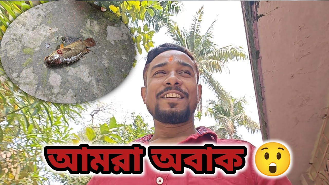হঠাৎ করে ওপর থেকে পড়লো কই মাছ 😲 | real life vlog 
